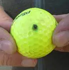 A person holding a yellow ball with a bug on it.